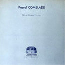  Détail Monochrome - Pascal Comelade 